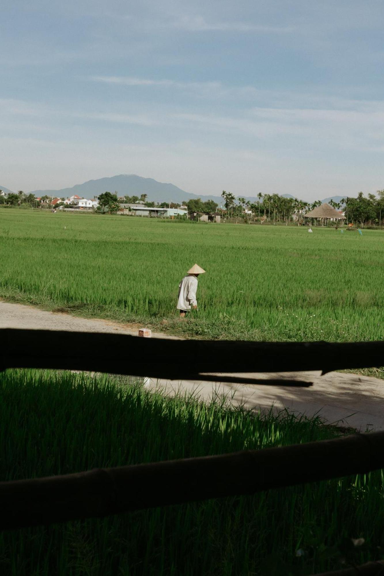 Heron House Hoi An Zewnętrze zdjęcie