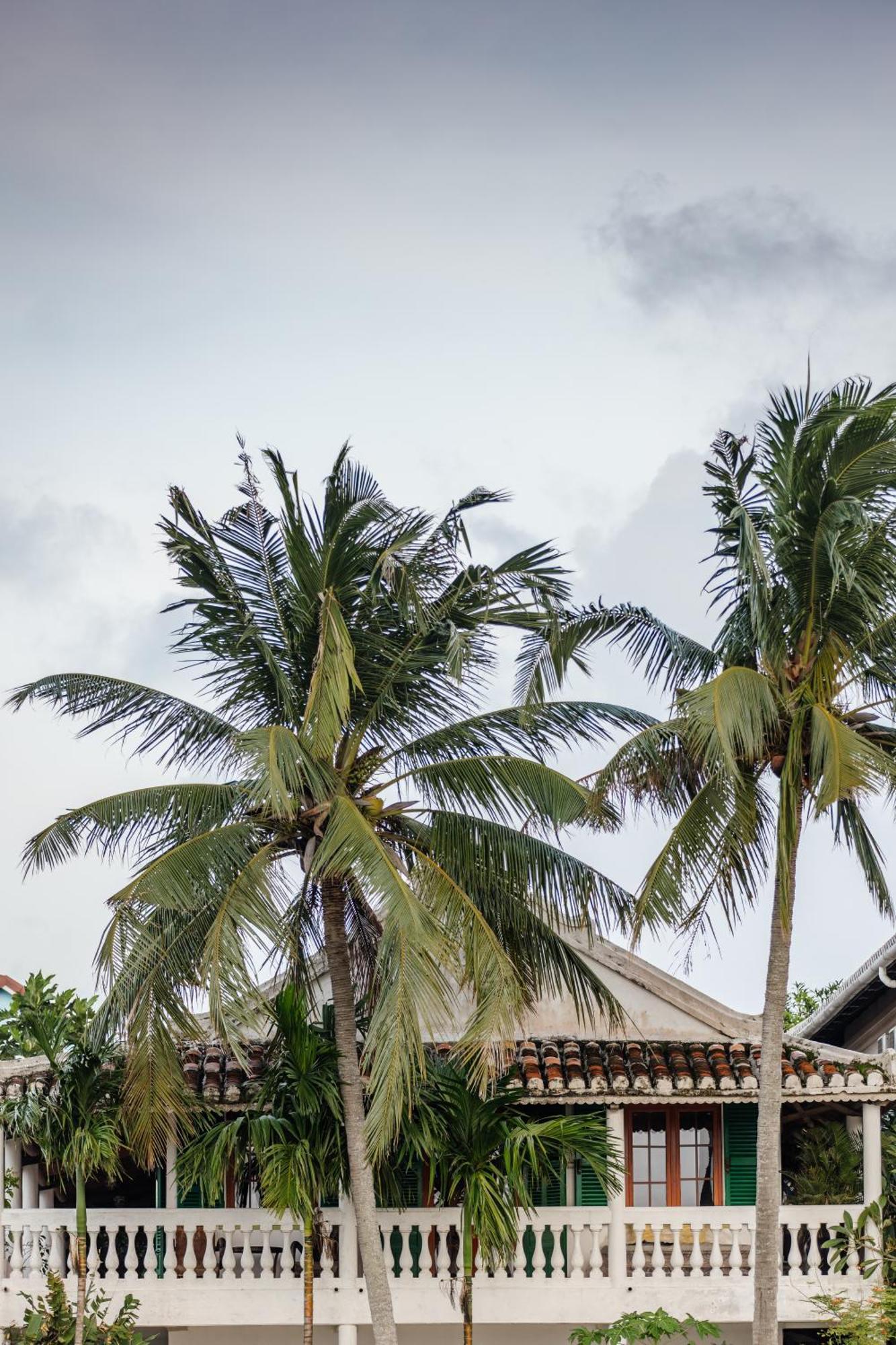 Heron House Hoi An Zewnętrze zdjęcie