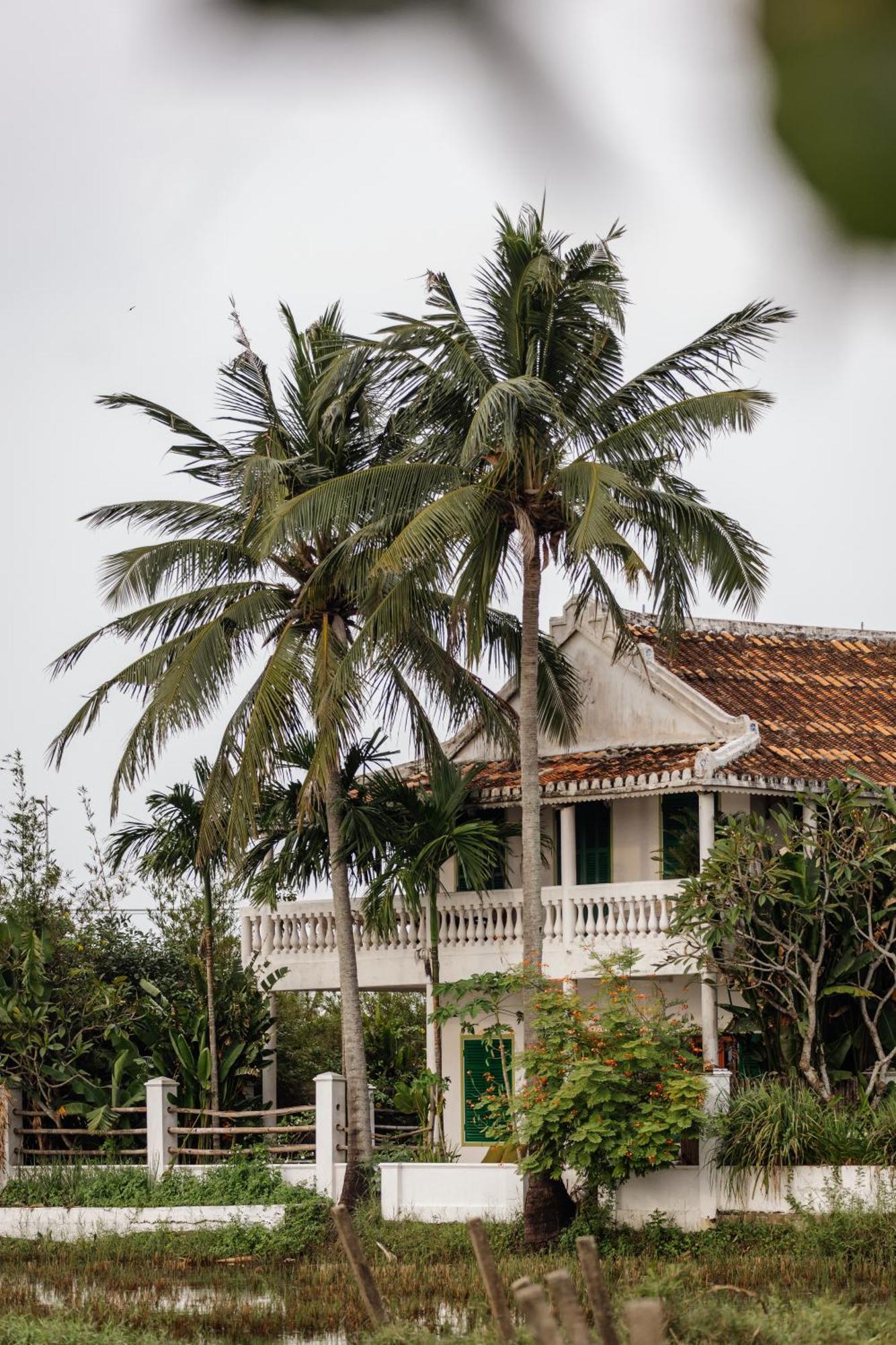 Heron House Hoi An Zewnętrze zdjęcie