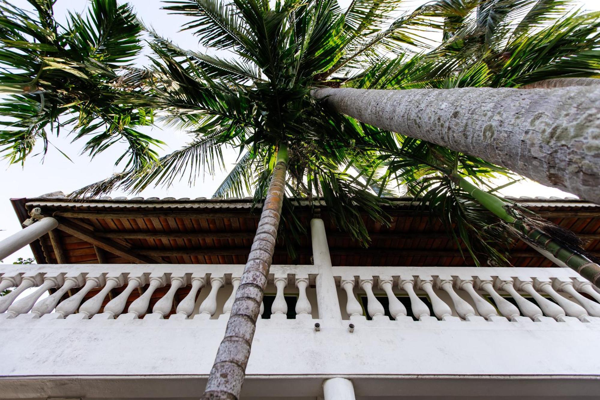 Heron House Hoi An Zewnętrze zdjęcie